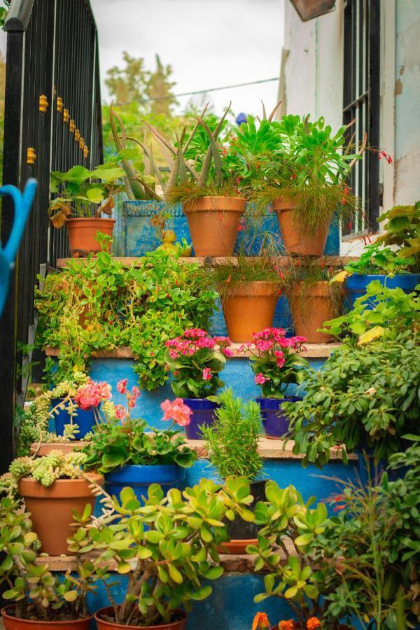 Bohemian Villa - Malaga Álora Eksteriør billede